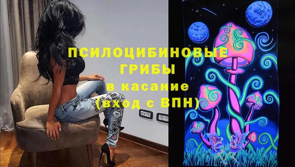 молекула духа Алексин