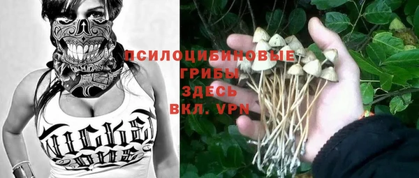молекула духа Алексин