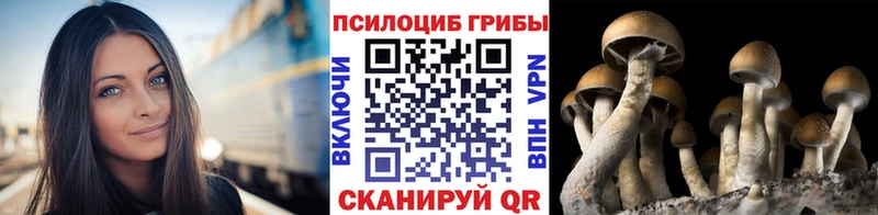 hydra зеркало Билибино Галлюциногенные грибы MAGIC MUSHROOMS